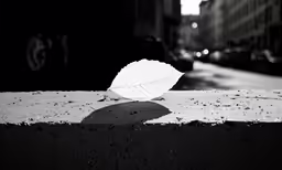an umbrella sits on the sidewalk of a city street