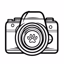 the camera with the dog paw on it