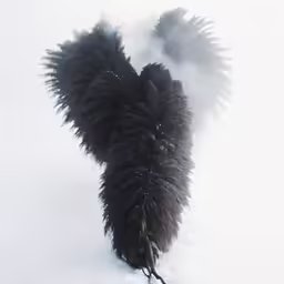 a large black bird covered in ice and snow