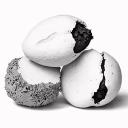 black and white photo of five unripe macaroni