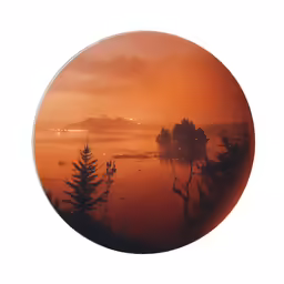 the orange sky has an eerie image of trees in the distance