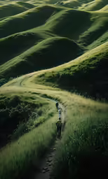 people walk through grassy hills on a sunny day
