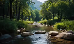 the mountain stream is a peaceful place to walk