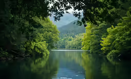 a man is rowing a canoe down a river