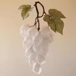 some white grapes hanging from a vine