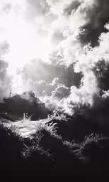 a view of some clouds from the ground