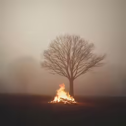 a fire in the middle of a field