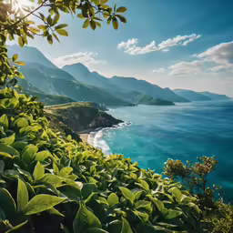 the ocean is shown from the vegetation and cliffs