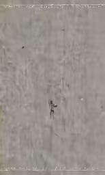 an overhead view of two people on some kind of area