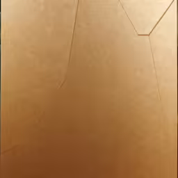 a golden photo with no background of a cat