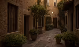 a narrow alley with potted plants on either side of the doorway