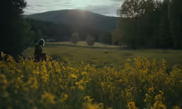 a woman is standing in the middle of a field of yellow flowers
