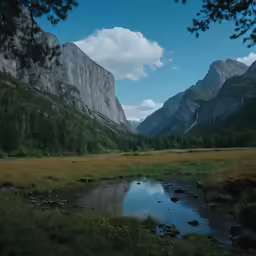 a beautiful mountain view with grass and trees around it