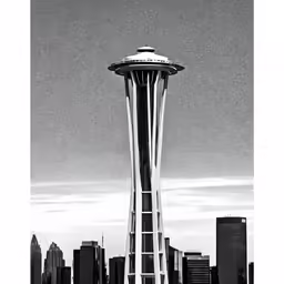 a black and white photograph of a large tall building