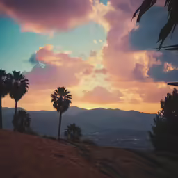some palm trees and pink clouds are in the sky