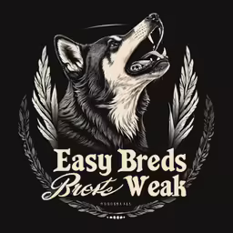the logo for easy beds, a bed and breakfast restaurant in east boston
