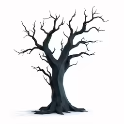 an old, dead tree with no leaves