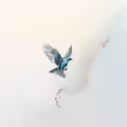 a bird flies across the snow covered ground,a bird flying above the snow covered ground