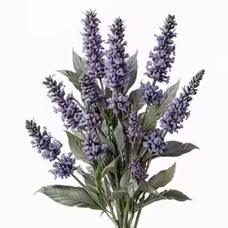 a vase filled with lavender flowers on top of a table