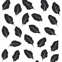 black and white leaves on a white background