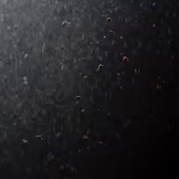 birds flying through the air in front of a sky