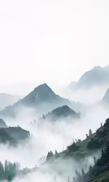 a hilly mountain valley with fog and trees