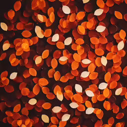 this is an abstract photograph of colored dots