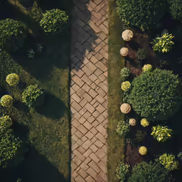 a view of some pretty landscaping from above