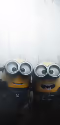 three minions from despicatable are shown behind a frosted glass