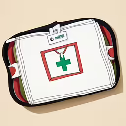 a purse that has a green cross on it