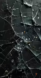 the ice in the water is cracked