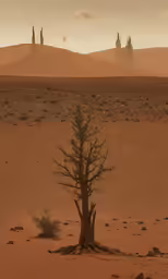 a lone tree is standing alone in the desert