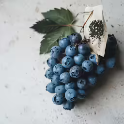 a cluster of blue berries next to a bunch of leaves