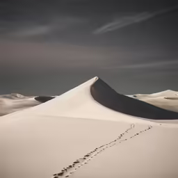 black and white image of a long row of tracks going over the top of a mountain