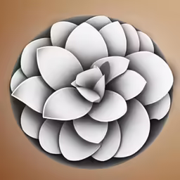 a white flower is in the middle of a circle