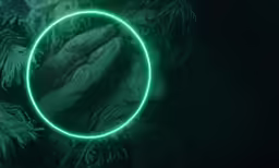 a circular frame in the middle of a forest with palm leaves
