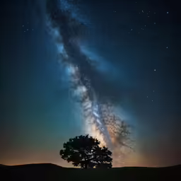 a lone tree against the night sky
