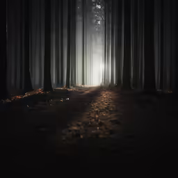 a foggy path in the middle of a dark forest