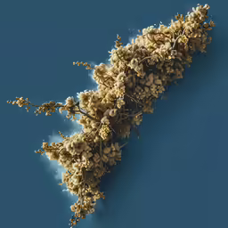 a group of branches sitting in the middle of a blue background