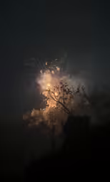 fireworks explode during a night time celebration
