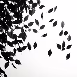 black and white image of a tree with green leaves flying