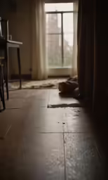 this is an image of a dog on the floor