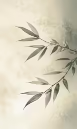 the branches of an asian leafy tree are still green