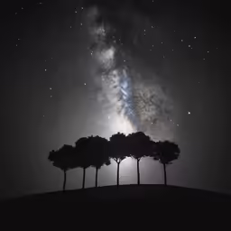 a night with four trees in front of the milky