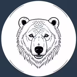 a bear