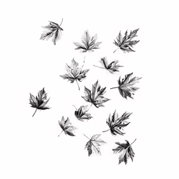 a black and white photo of leaf shapes
