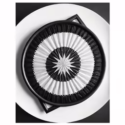 the white plate has a black fan on it