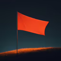 a large orange flag sticking out of the ground