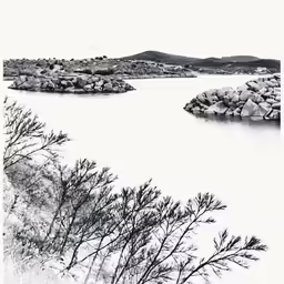 trees and rocks are next to a large body of water