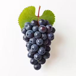 black grapes and a green leaf on white